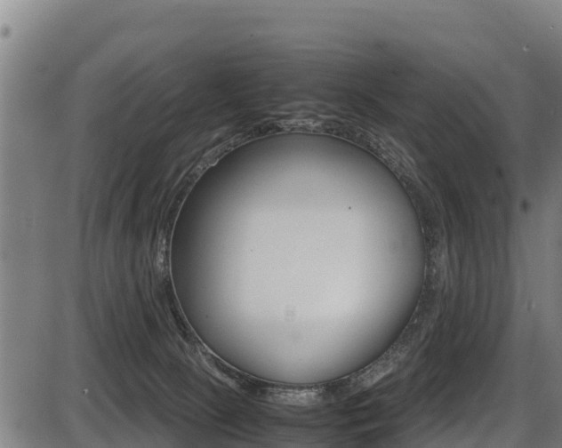 X0000087640081200705030803