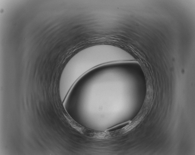 X0000087640096200705030803
