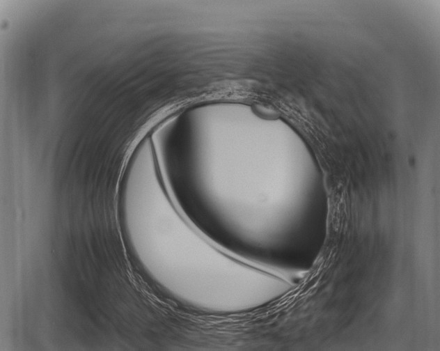 X0000087640100200705030802