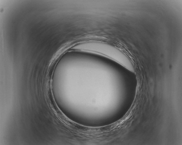 X0000087640101200705030802