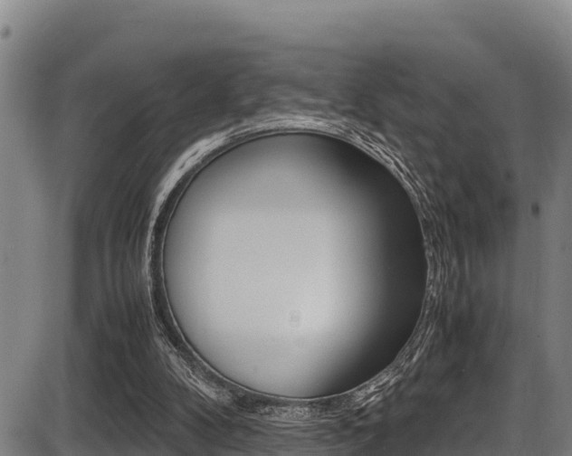 X0000087640104200705030802