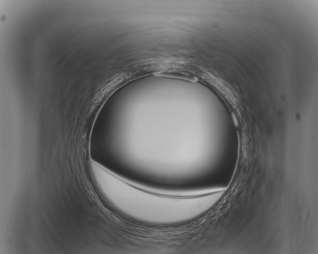 X0000087640105200705030802