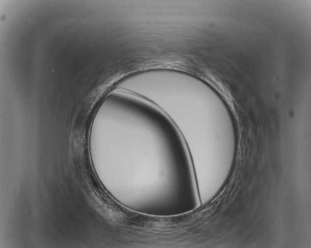 X0000087640107200705030802