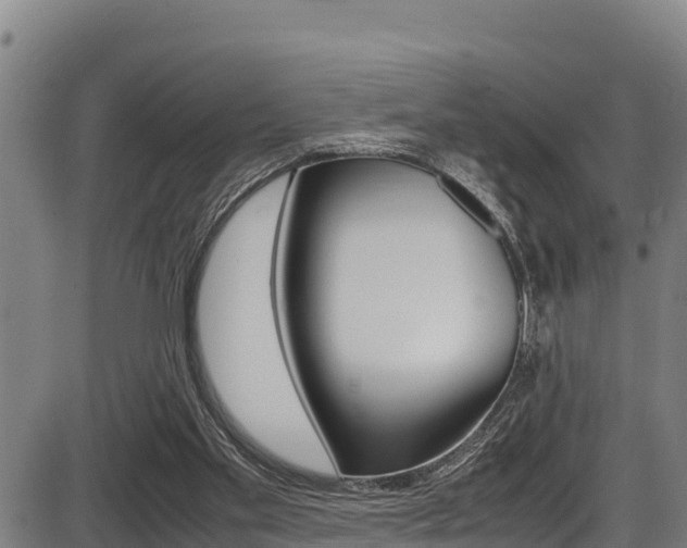 X0000087640109200705030802