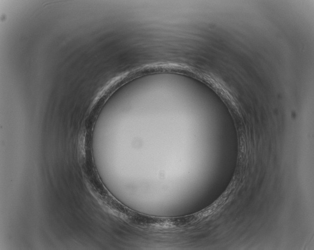 X0000087640112200705030802