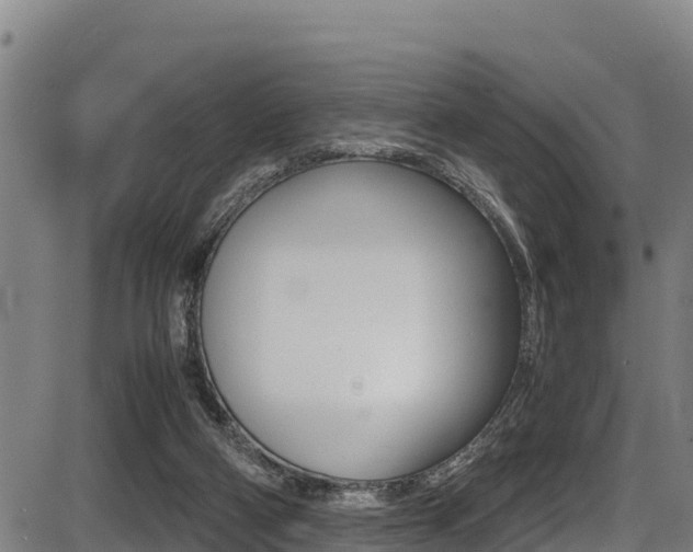 X0000087640114200705030802