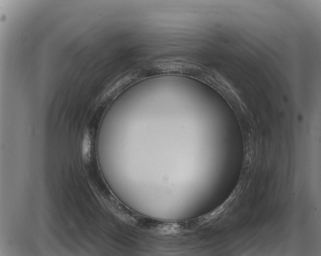 X0000087640124200705030802