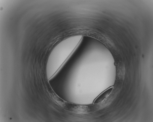 X0000087640128200705030802
