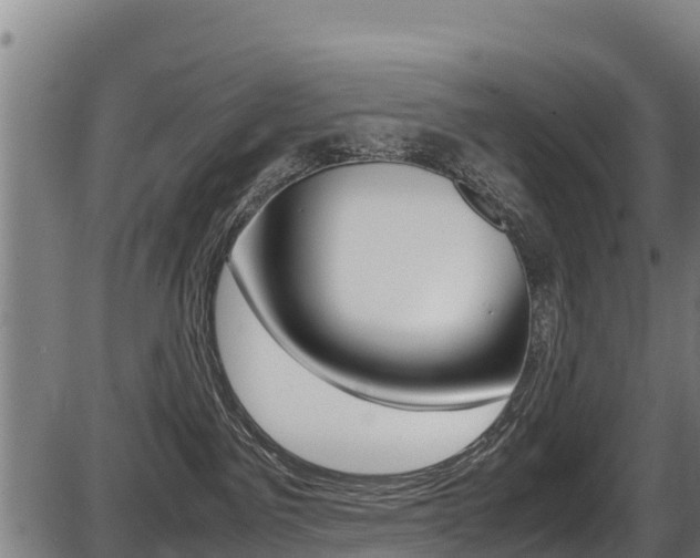 X0000087640141200705030802