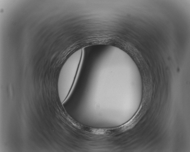 X0000087640144200705030802
