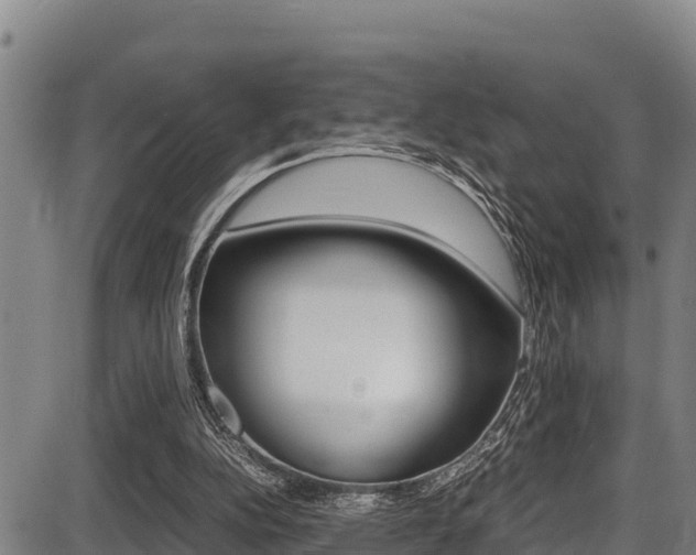 X0000087640152200705030801
