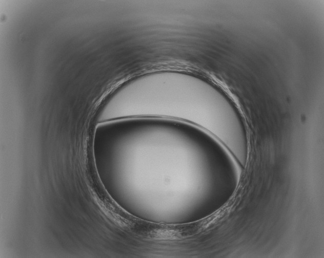 X0000087640154200705030801