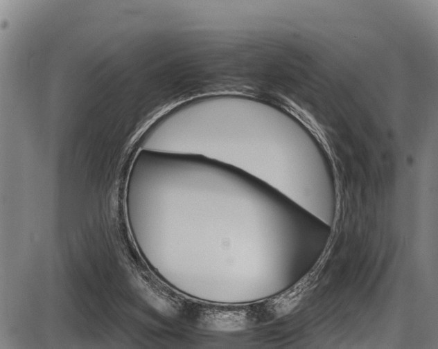 X0000087640155200705030801