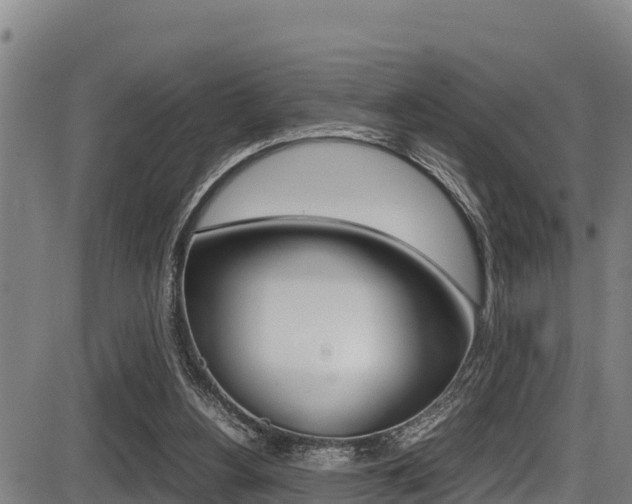 X0000087640156200705030801