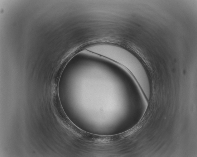 X0000087640164200705030801