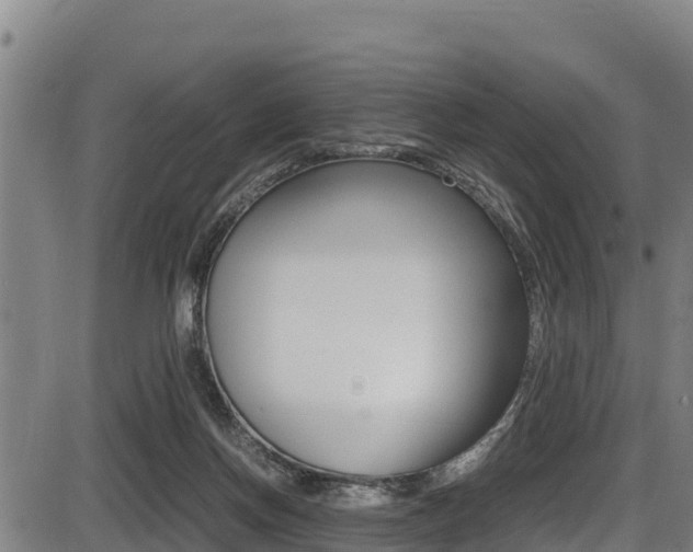 X0000087640166200705030801