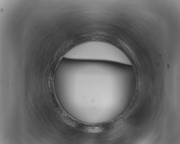 X0000087640169200705030801