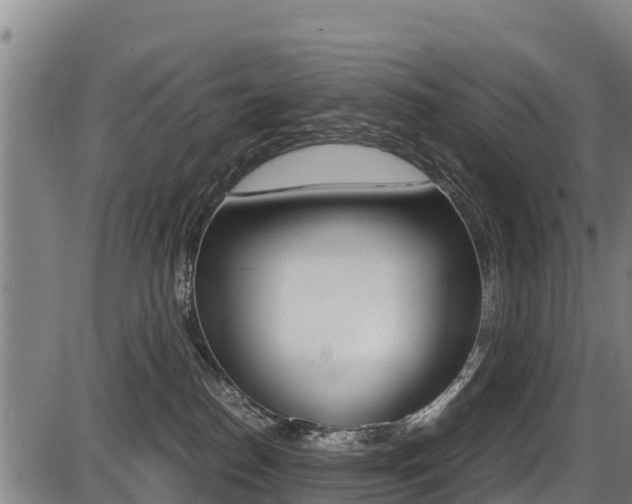X0000087640186200705030802