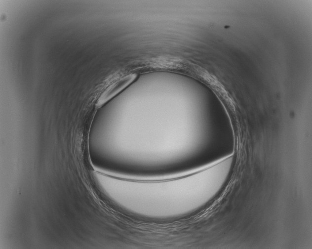 X0000087640201200705030801