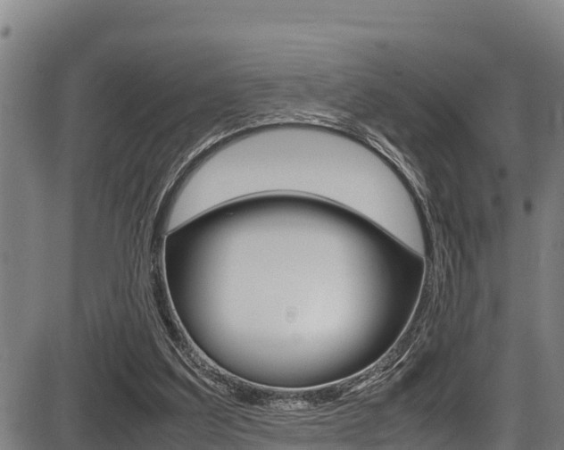 X0000087640203200705030801