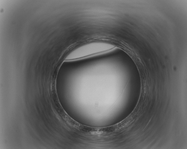 X0000087640216200705030801