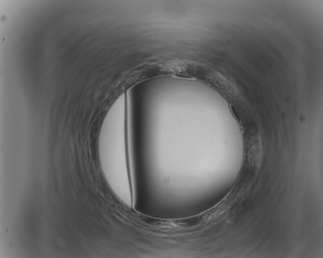 X0000087640229200705030800