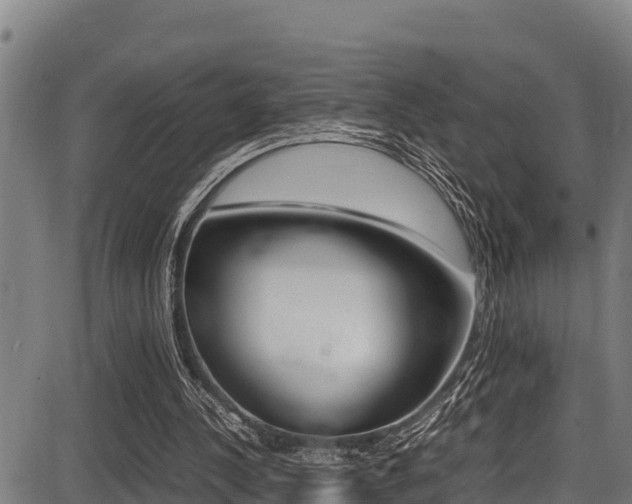 X0000087640244200705030759