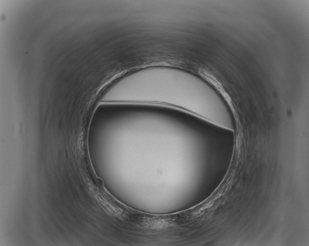 X0000087640249200705030759