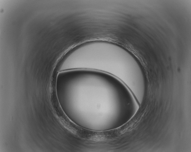 X0000087640252200705030800