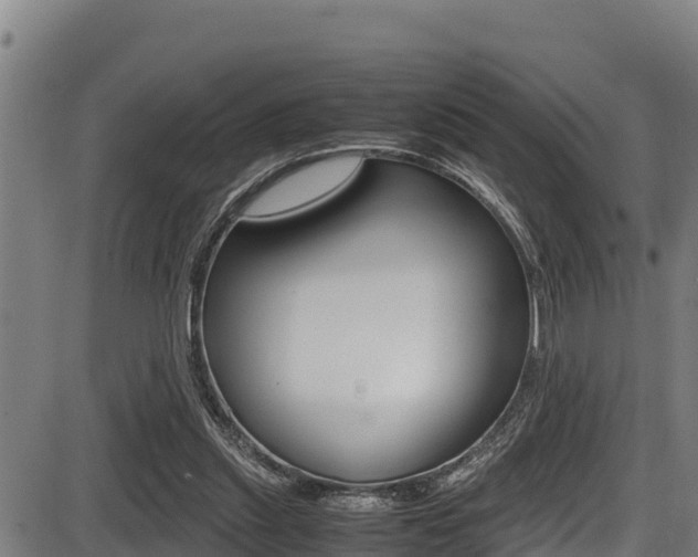 X0000087640253200705030800