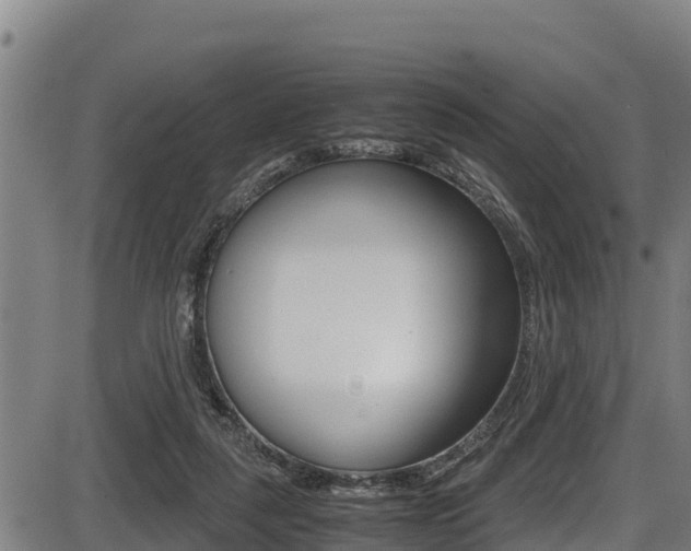 X0000087640259200705030800