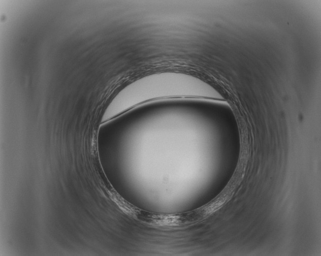 X0000087640288200705030800