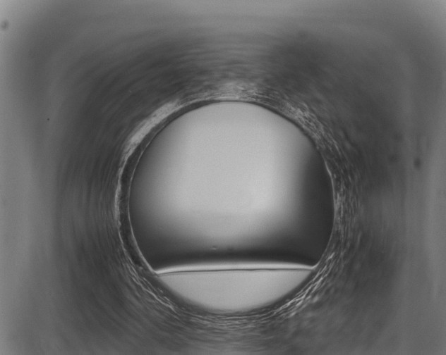 X0000087640292200705030759