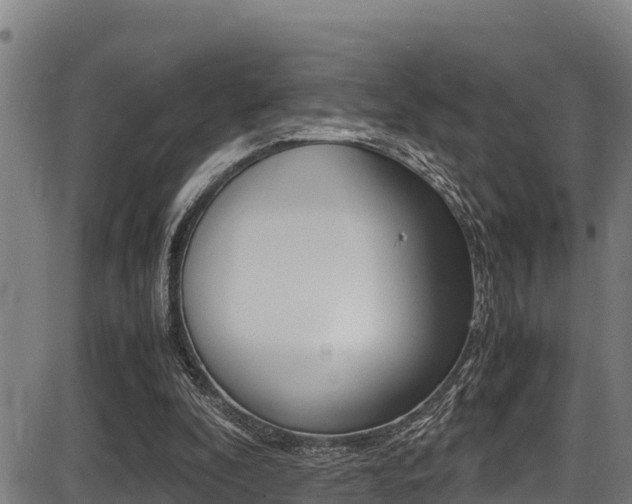 X0000087640296200705030759