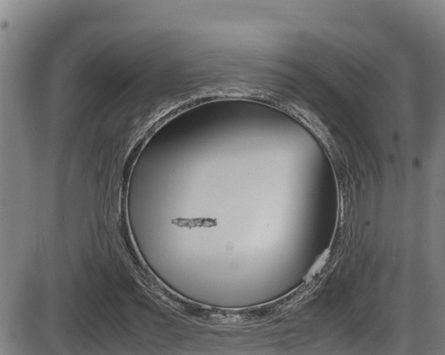 X0000087640301200705030759