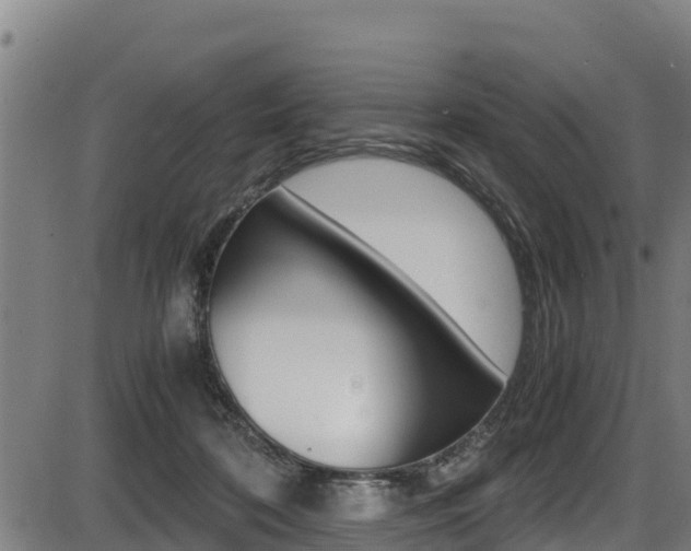 X0000087640316200705030759