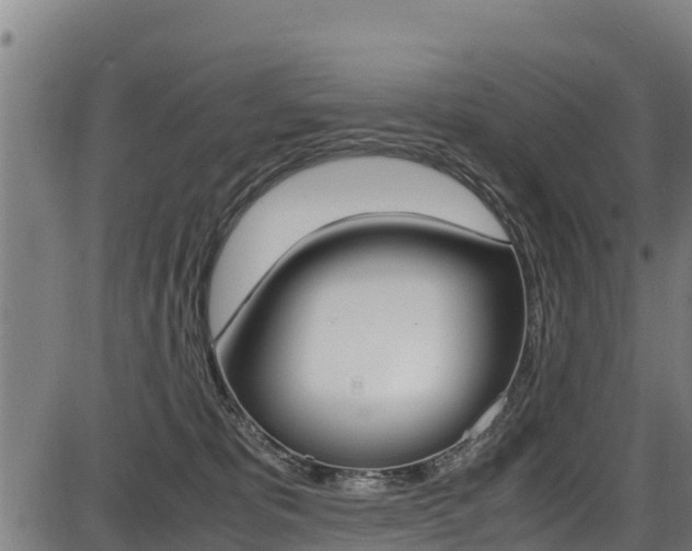 X0000087640325200705030759