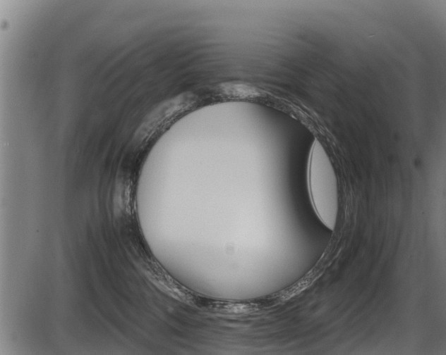 X0000087640330200705030759