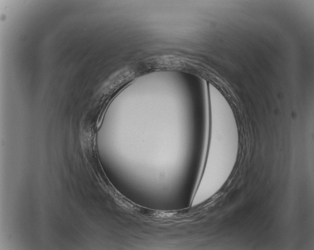 X0000087640333200705030759