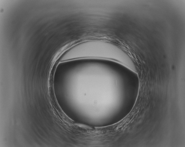 X0000087640340200705030758