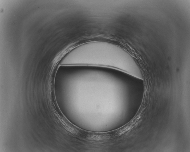 X0000087640341200705030758
