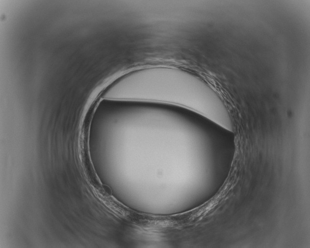 X0000087640342200705030758
