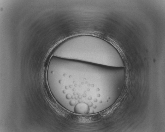 X0000087640346200705030758