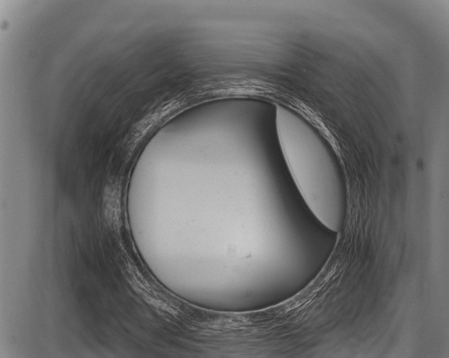 X0000087640386200705030758