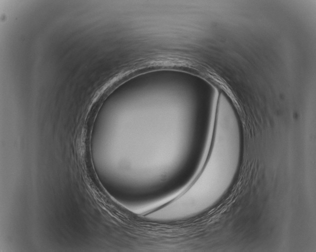 X0000087640387200705030758
