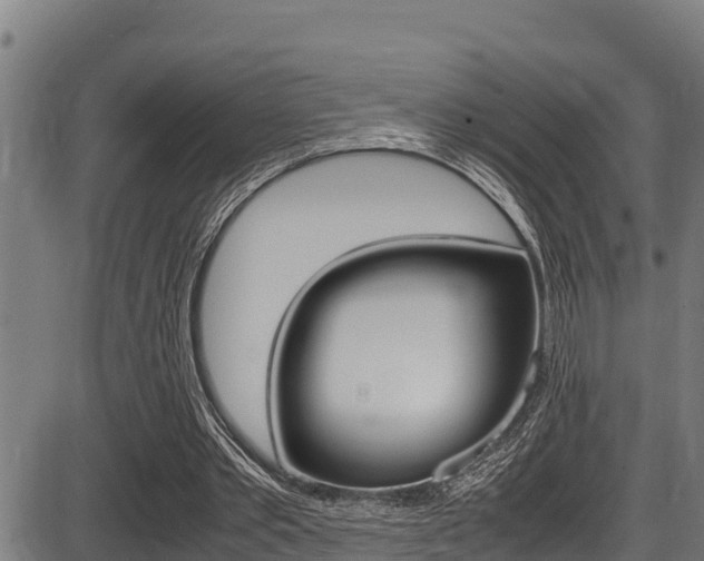 X0000087640389200705030758