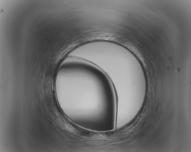 X0000087640397200705030758