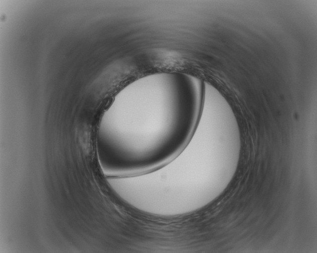 X0000087640416200705030757