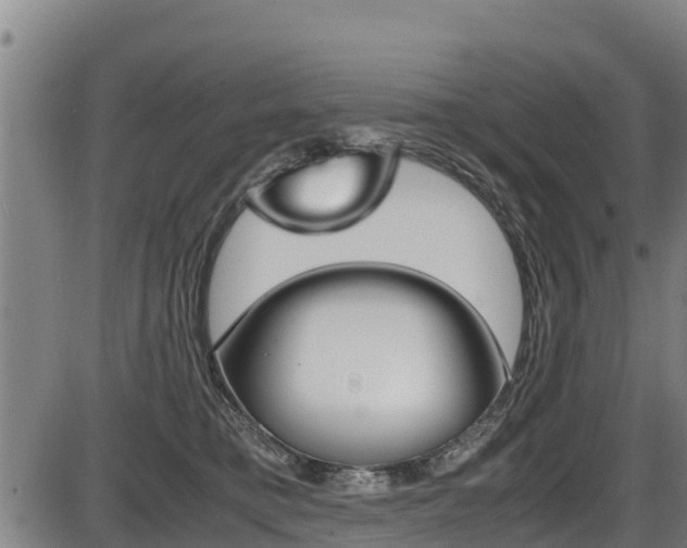 X0000087640421200705030757