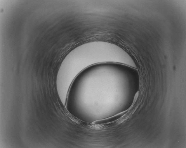X0000087640432200705030757